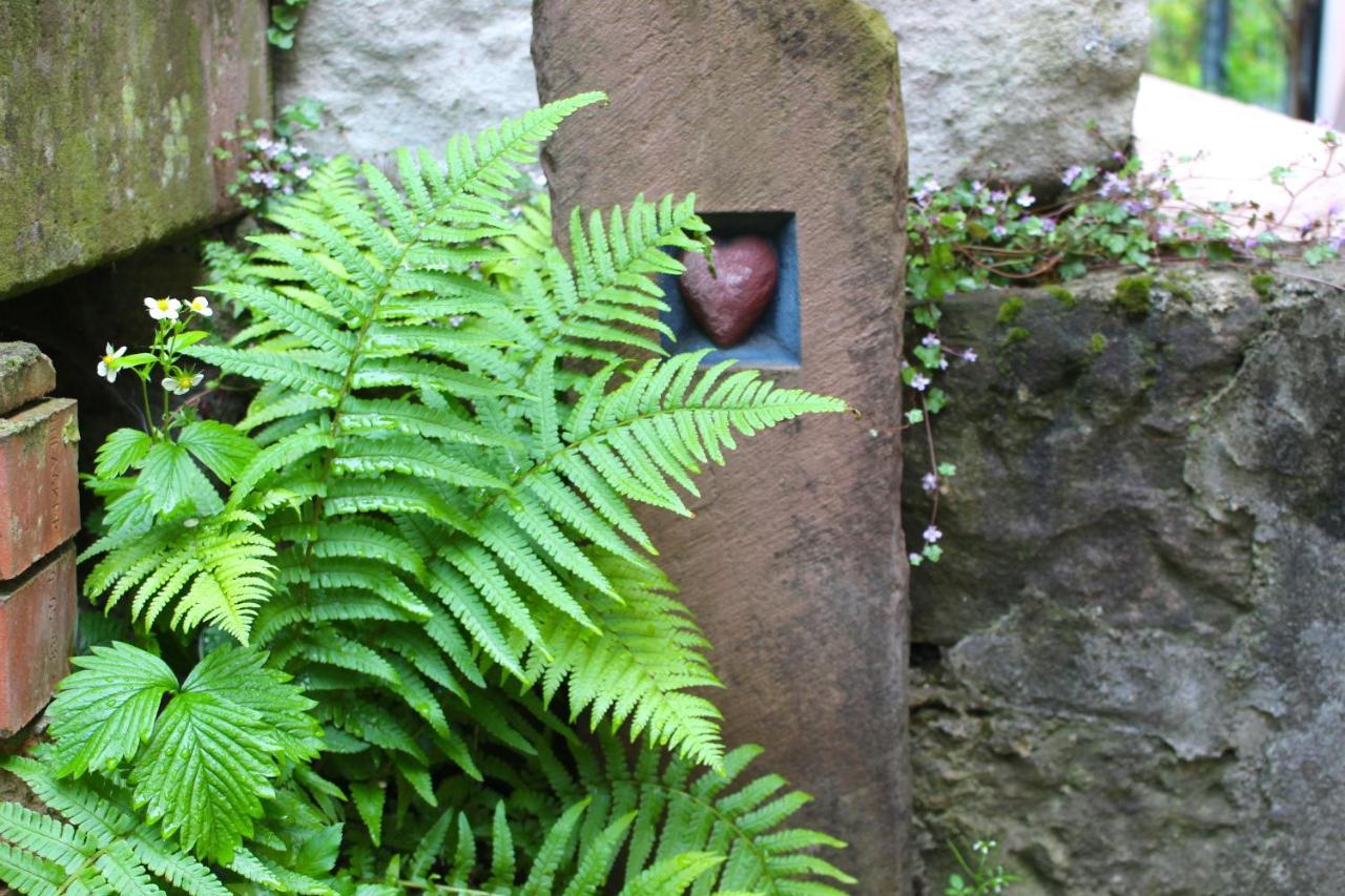 Atelierhaus Beckmann Villa Gengenbach Luaran gambar
